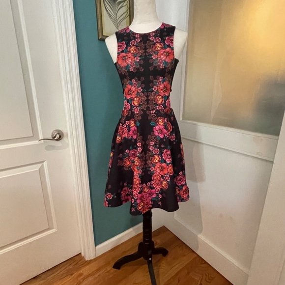 Ronny Kobo Designer Dress w/Peek a Boo side panels - Picture 3 of 3